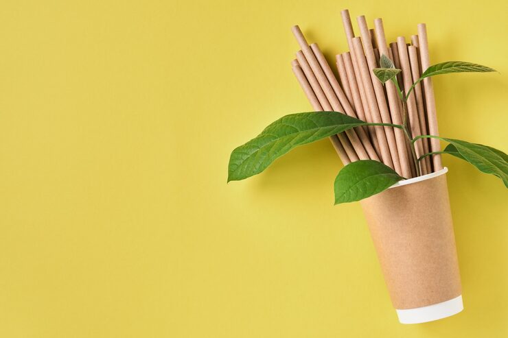 Asha OverseasReusable Bamboo Straw Pack